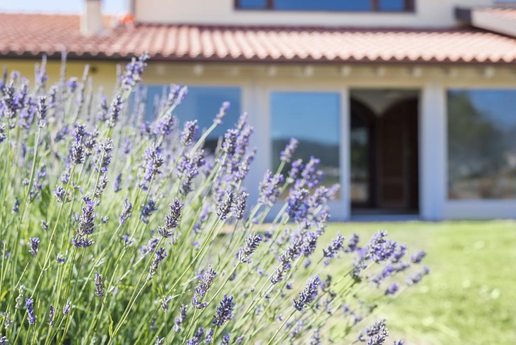 Agriturismo Terre Di Castiglione Castiglione della Pescaia Εξωτερικό φωτογραφία