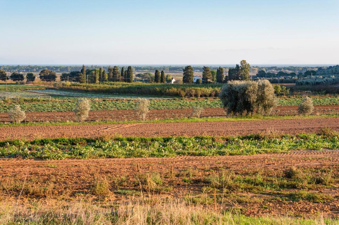 Agriturismo Terre Di Castiglione Castiglione della Pescaia Εξωτερικό φωτογραφία