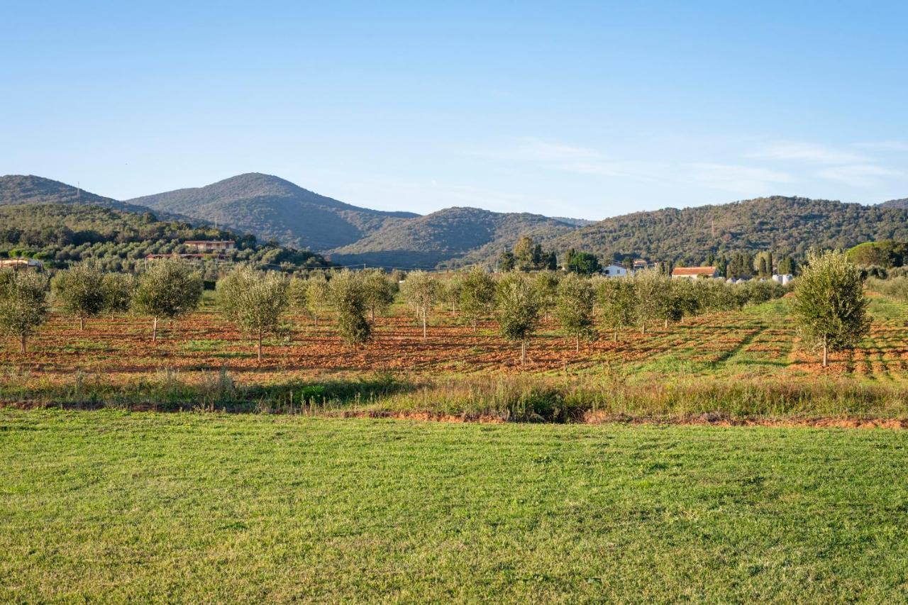Agriturismo Terre Di Castiglione Castiglione della Pescaia Εξωτερικό φωτογραφία