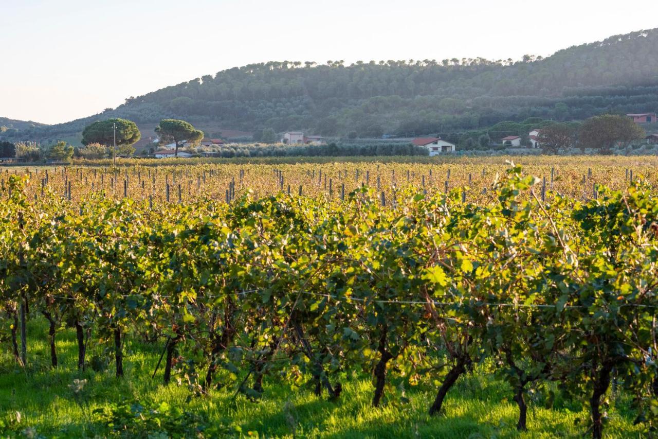 Agriturismo Terre Di Castiglione Castiglione della Pescaia Εξωτερικό φωτογραφία