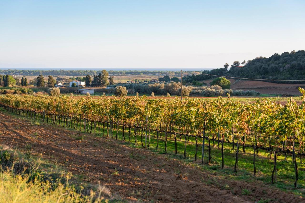 Agriturismo Terre Di Castiglione Castiglione della Pescaia Εξωτερικό φωτογραφία