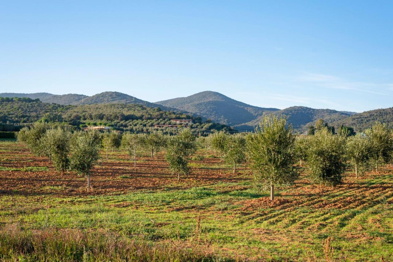 Agriturismo Terre Di Castiglione Castiglione della Pescaia Εξωτερικό φωτογραφία